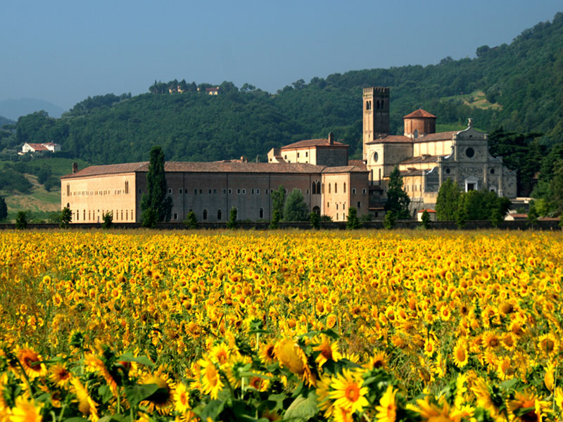 Autotrasporti Fratelli Furlan - Azienda